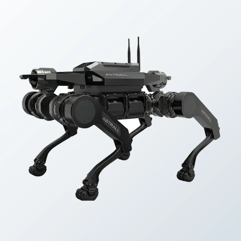 X1 All-Terrain Quadruped Robot